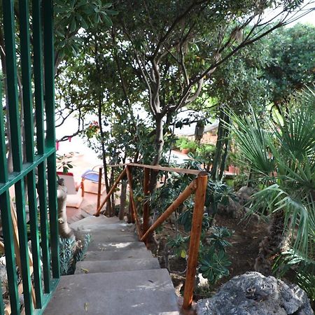 Vila Casa Elvira Terrasini Exteriér fotografie