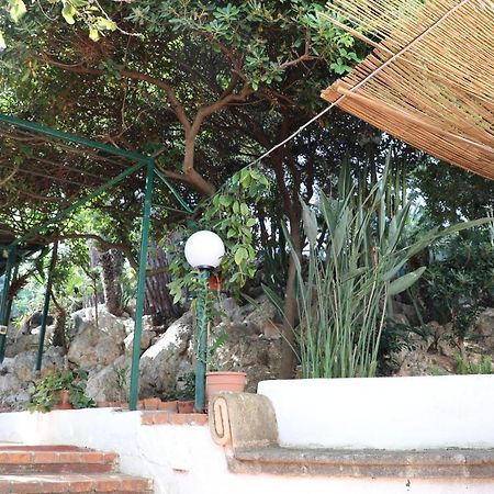 Vila Casa Elvira Terrasini Exteriér fotografie