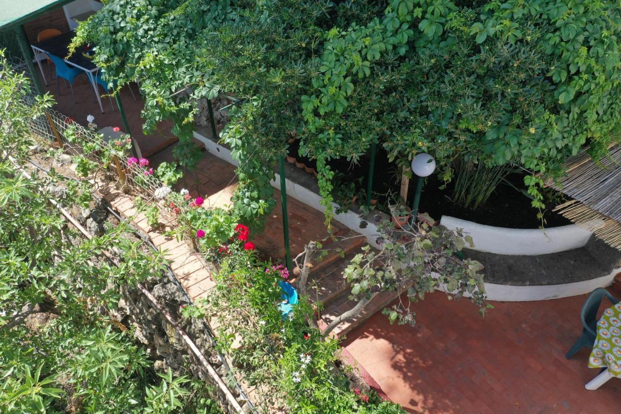 Vila Casa Elvira Terrasini Exteriér fotografie