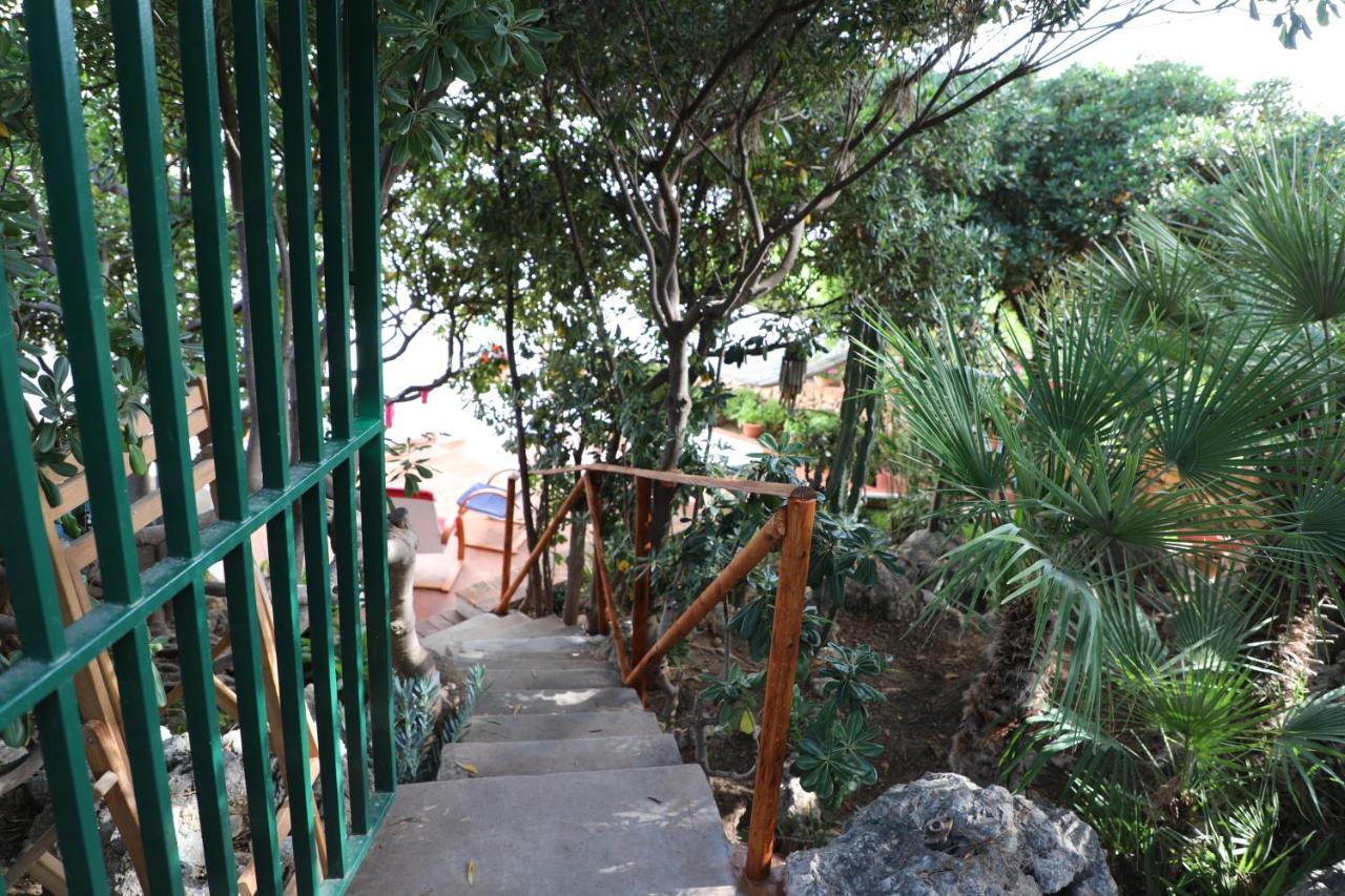 Vila Casa Elvira Terrasini Exteriér fotografie