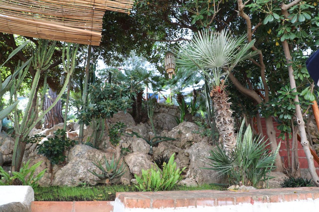 Vila Casa Elvira Terrasini Exteriér fotografie