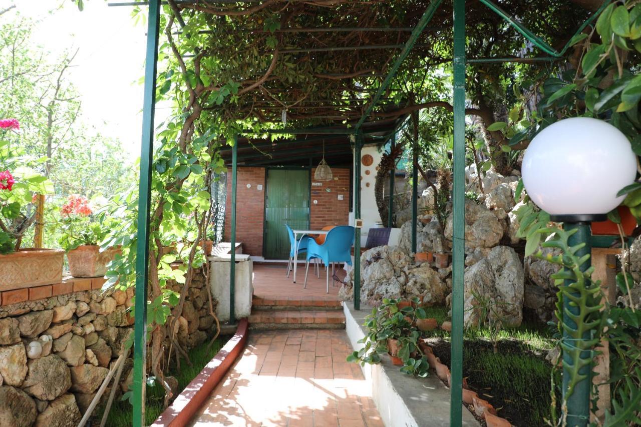 Vila Casa Elvira Terrasini Exteriér fotografie
